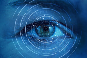 ARK Systems Industries Biometric Security